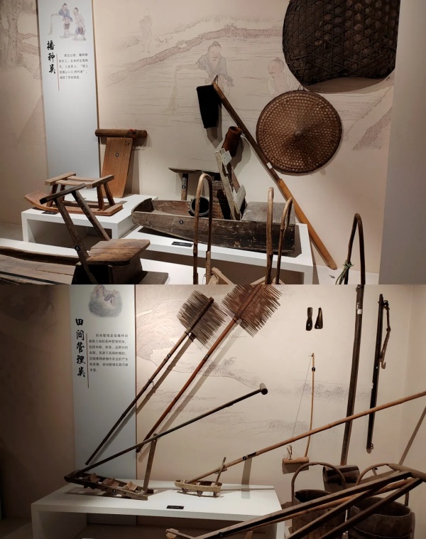 華南農業博物館——大地文明的詩篇