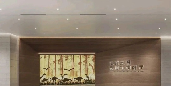 化石王國——熱河生物群展廳設計